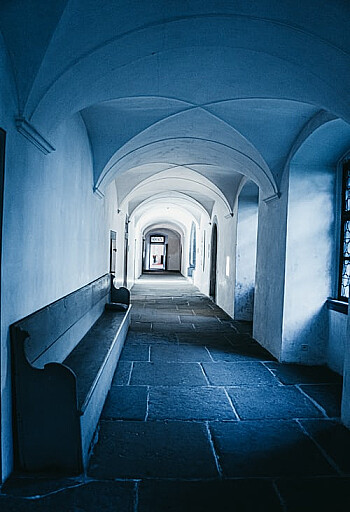 Pellentesque habitant morbi tristique senectus
